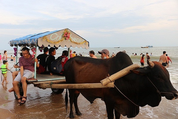 bai bien cam binh 2 - Tận hưởng giây phút thoải mái tại bãi biển Cam Bình