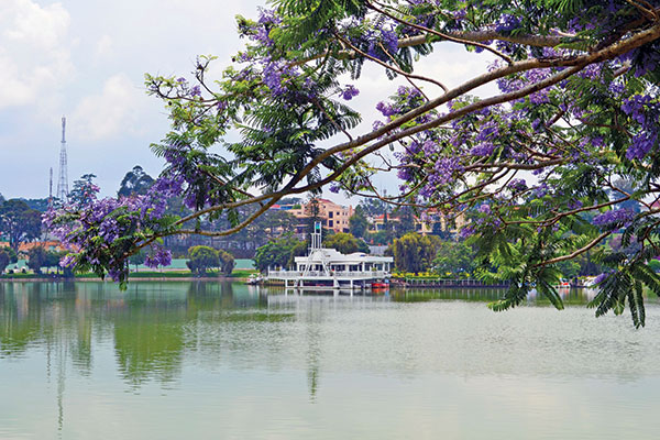 ho xuan huong da lat 6 - Giấc mơ thơ mộng mang tên hồ Xuân Hương giữa trái tim Đà Lạt